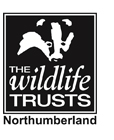 wildlife trusts northumberland