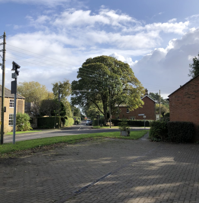 Hepscott Sycamore
