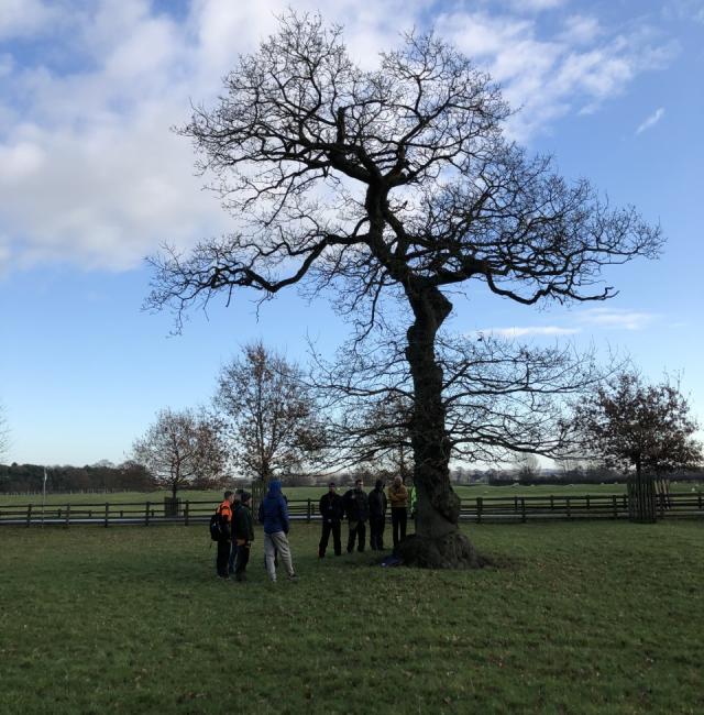 Smaller Oak Pondfield Kirkley