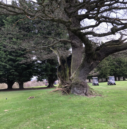 Leper Oak Hexham Golf Club