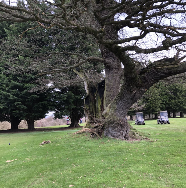 Leper Oak Hexham Golf Club