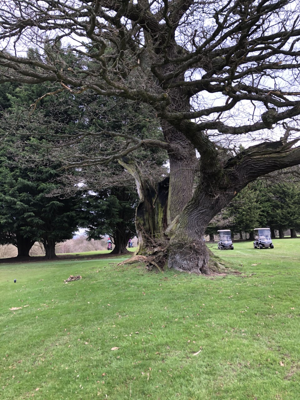 Leper Oak Hexham Golf Club