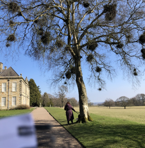 Birch Wallington Hall