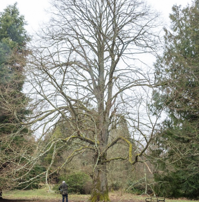 Lime at Otterburn Hall
