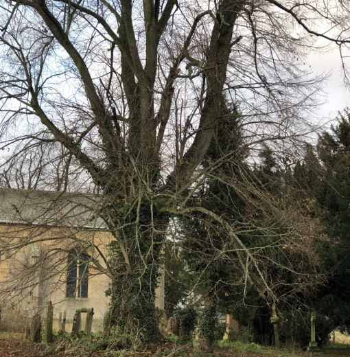 St Peters Church Lime Humshaugh