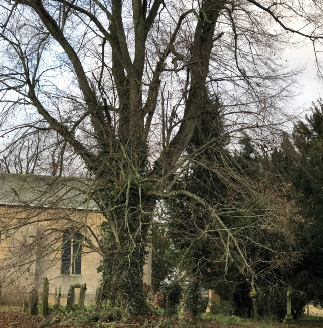 St Peters Church Lime Humshaugh