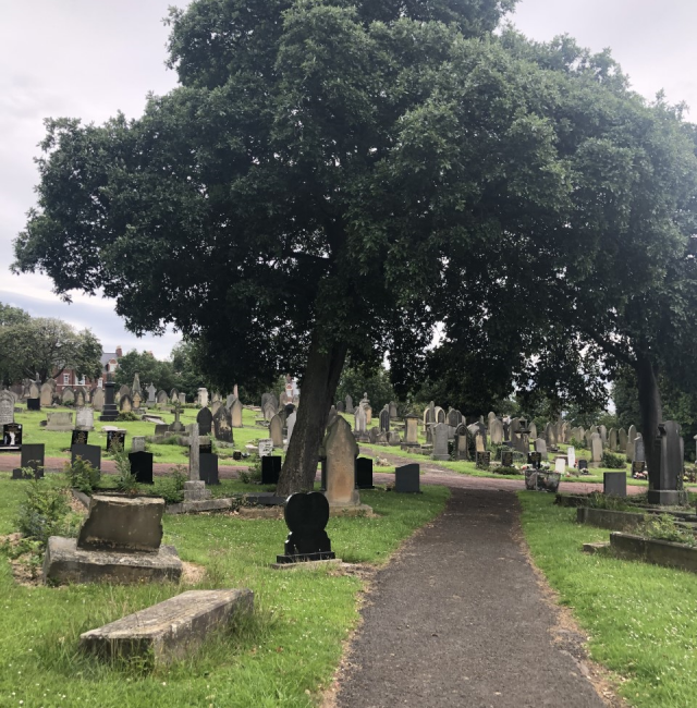 Turner Oak St Johns Elswick