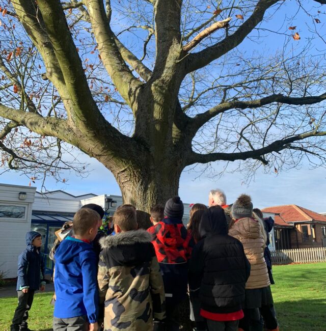 Red Oak Abbeyfield School