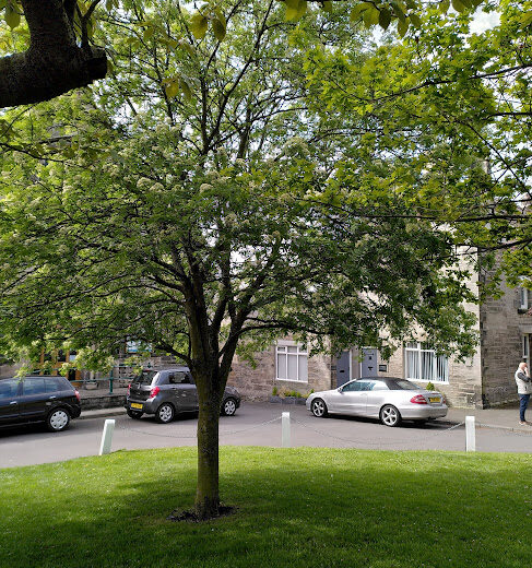 Centenary Rowan Rothbury